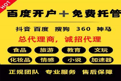 竞价托管SEM的创意与实践：多行业案例集